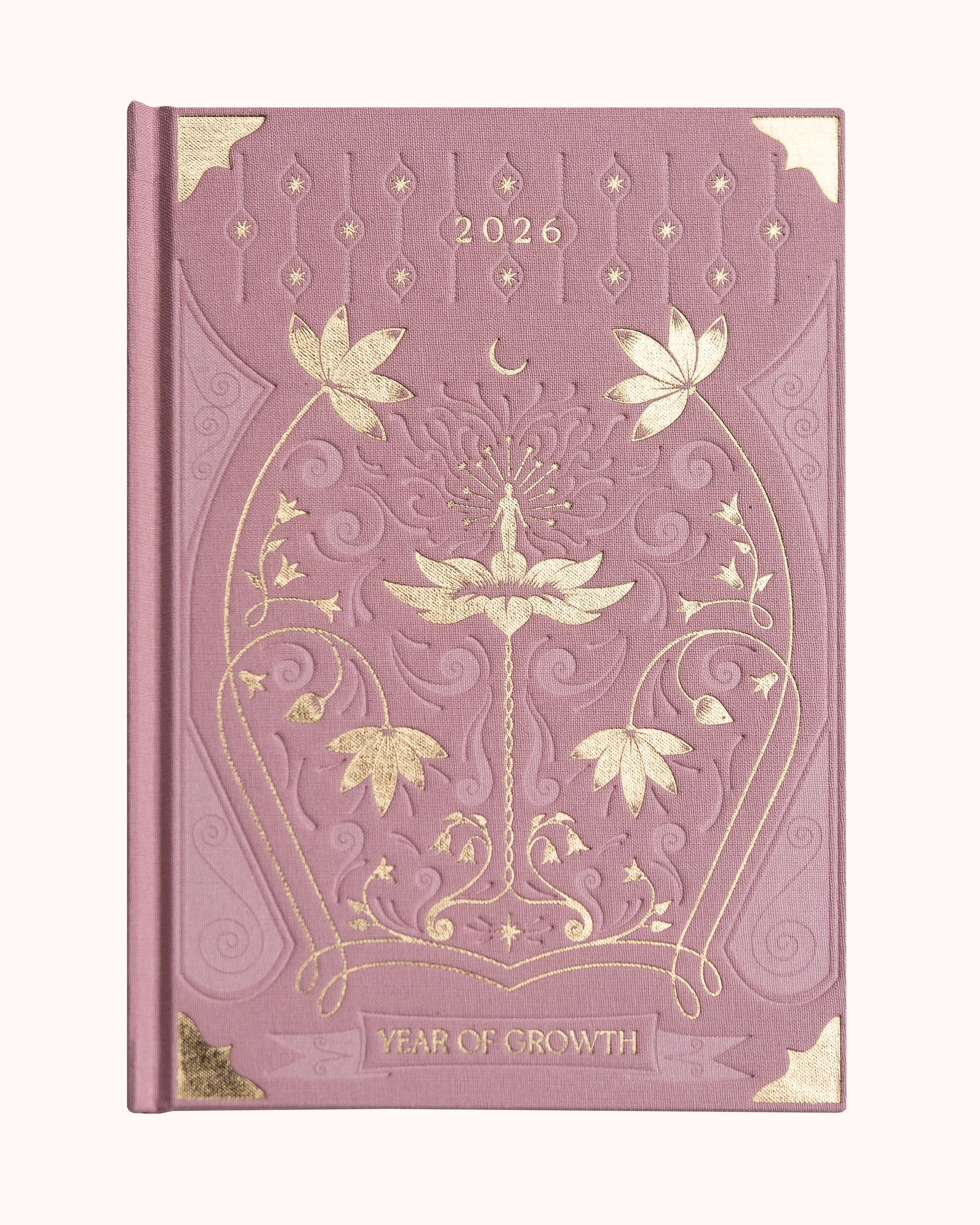 Agenda A year of Growth
