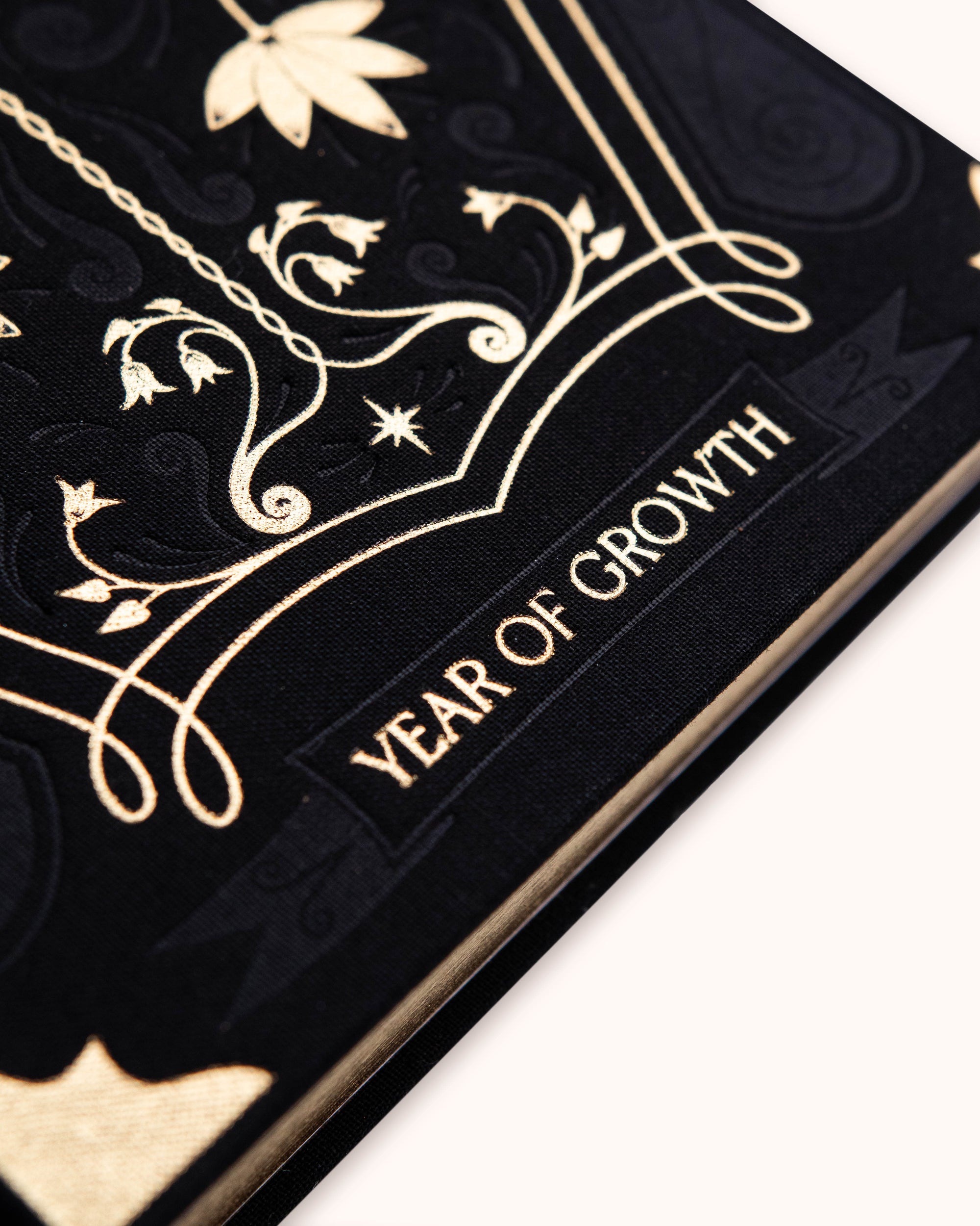 Agenda A year of Growth