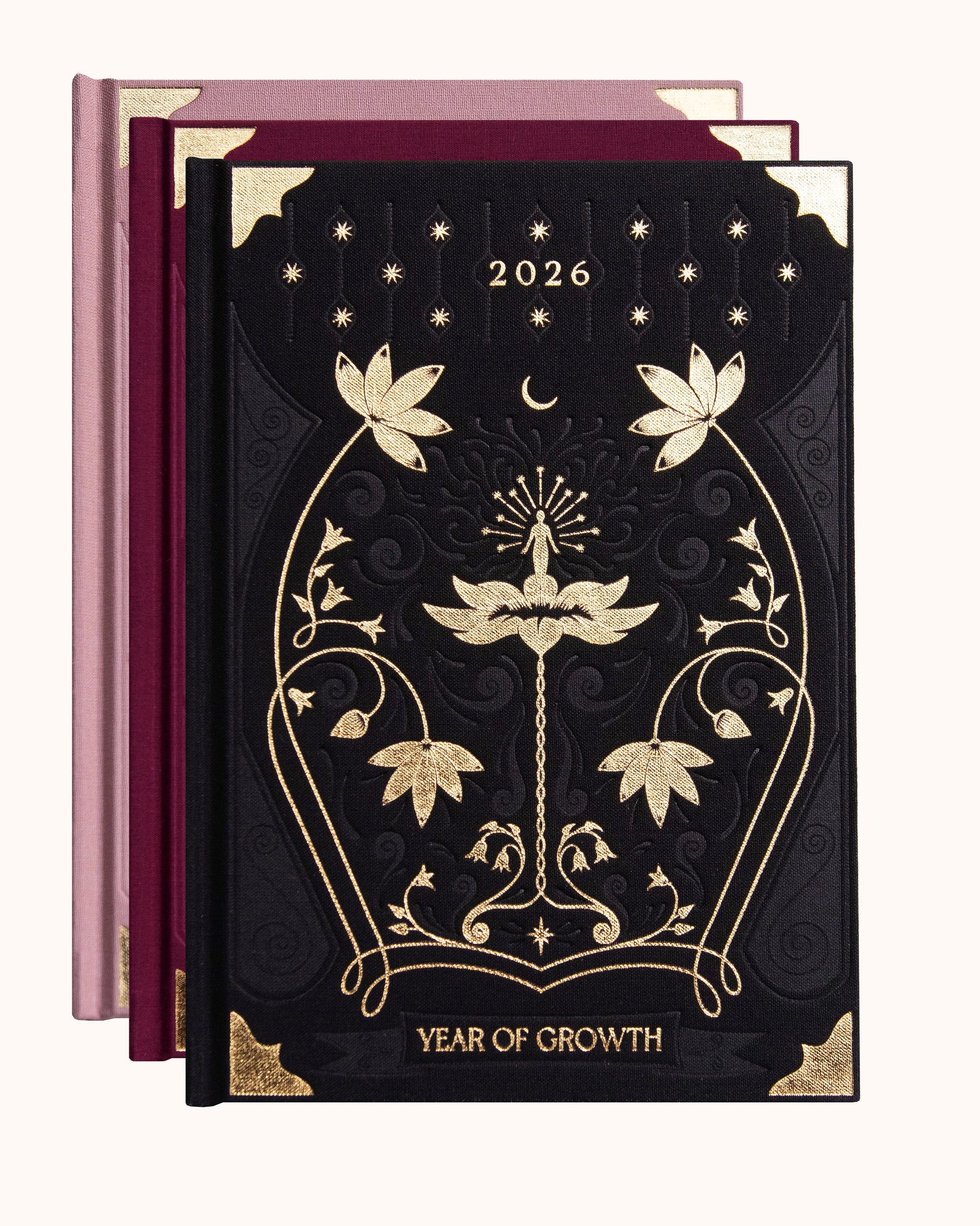 Agenda A year of Growth
