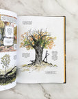 Vida Secreta de los árboles - novela gráfica