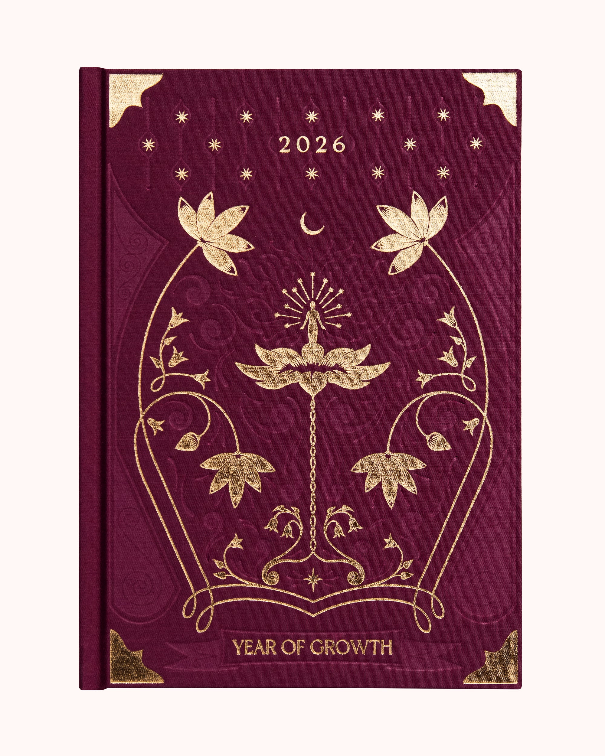 Agenda A year of Growth