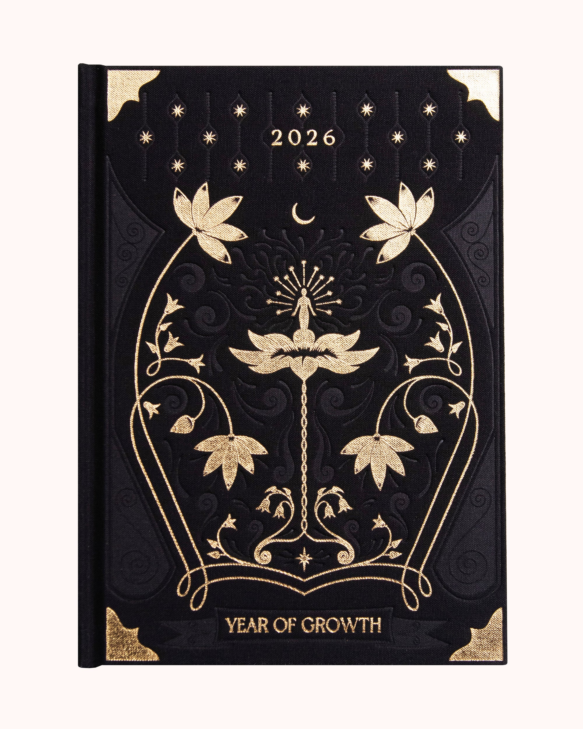 Agenda A year of Growth