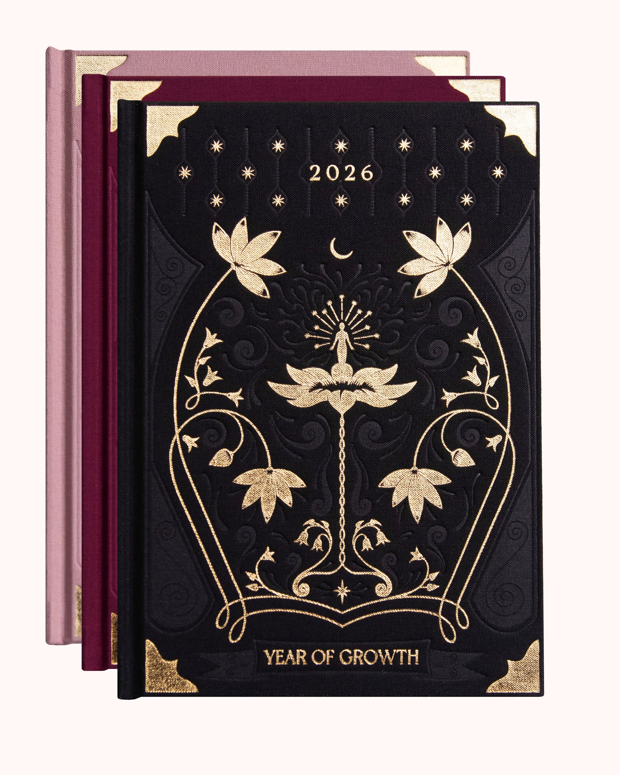 Agenda A year of Growth