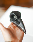 Calavera de Cuervo en Obsidiana – Protección, Magia y Sabiduría Ancestral