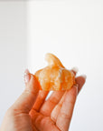 Calabaza con Calaveras – Mineral Aleatorio – Protección, Abundancia y Transformación