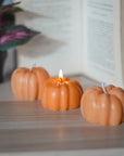 Vela Calabaza de Otoño
