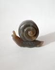 Caracol de Ágata y Amatista – Creatividad, Protección y Magia Natural