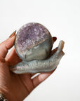 Caracol de Ágata y Amatista – Creatividad, Protección y Magia Natural