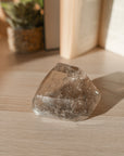 Cuarzo Ahumado con Rutilo y Turmalina – Protección, Claridad y Transformación