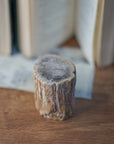 Xilópalo o madera fosilizada grande