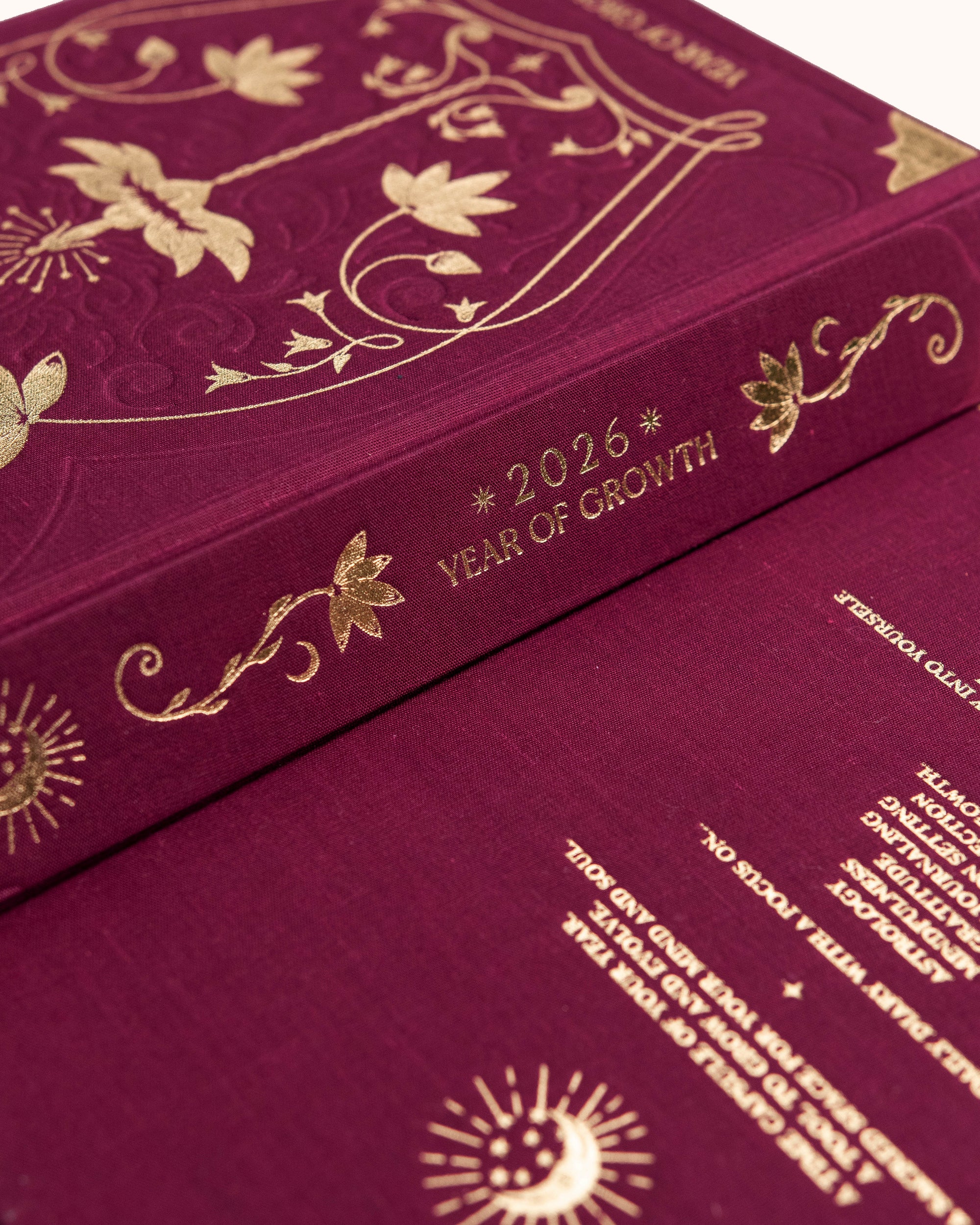 Agenda A year of Growth