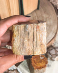 Xilópalo o madera fosilizada