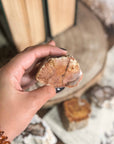 Xilópalo o madera fosilizada