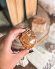 Xilópalo o madera fosilizada