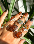 Anillos de ámbar y plata