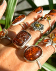 Anillos de ámbar y plata