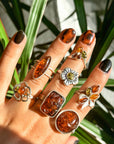 Anillos de ámbar y plata