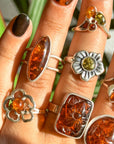 Anillos de ámbar y plata