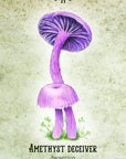 Mushroom Spirit Oracle