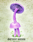 Oráculo Mushroom Spirit
