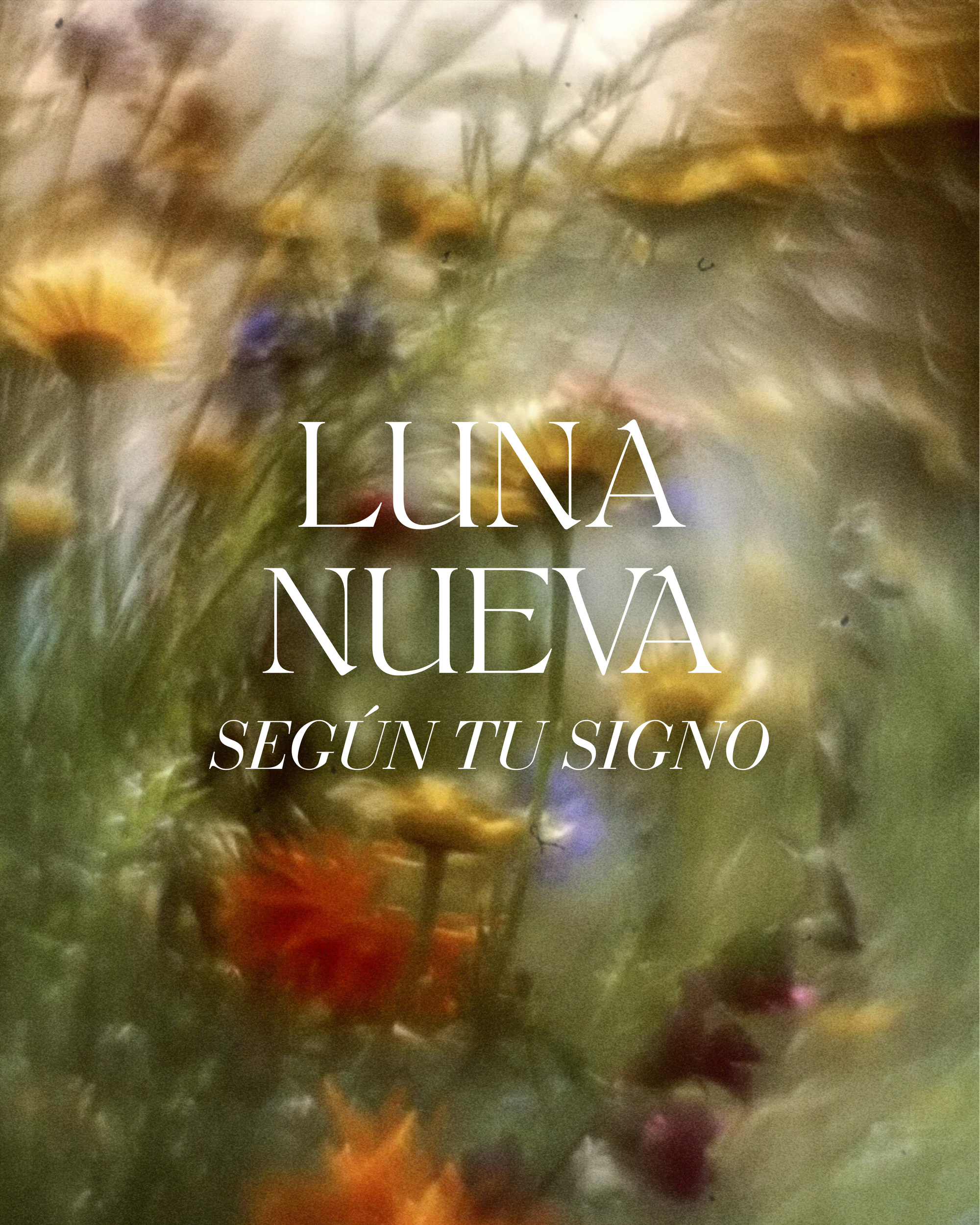 Luna nueva del 25 de junio de 2025