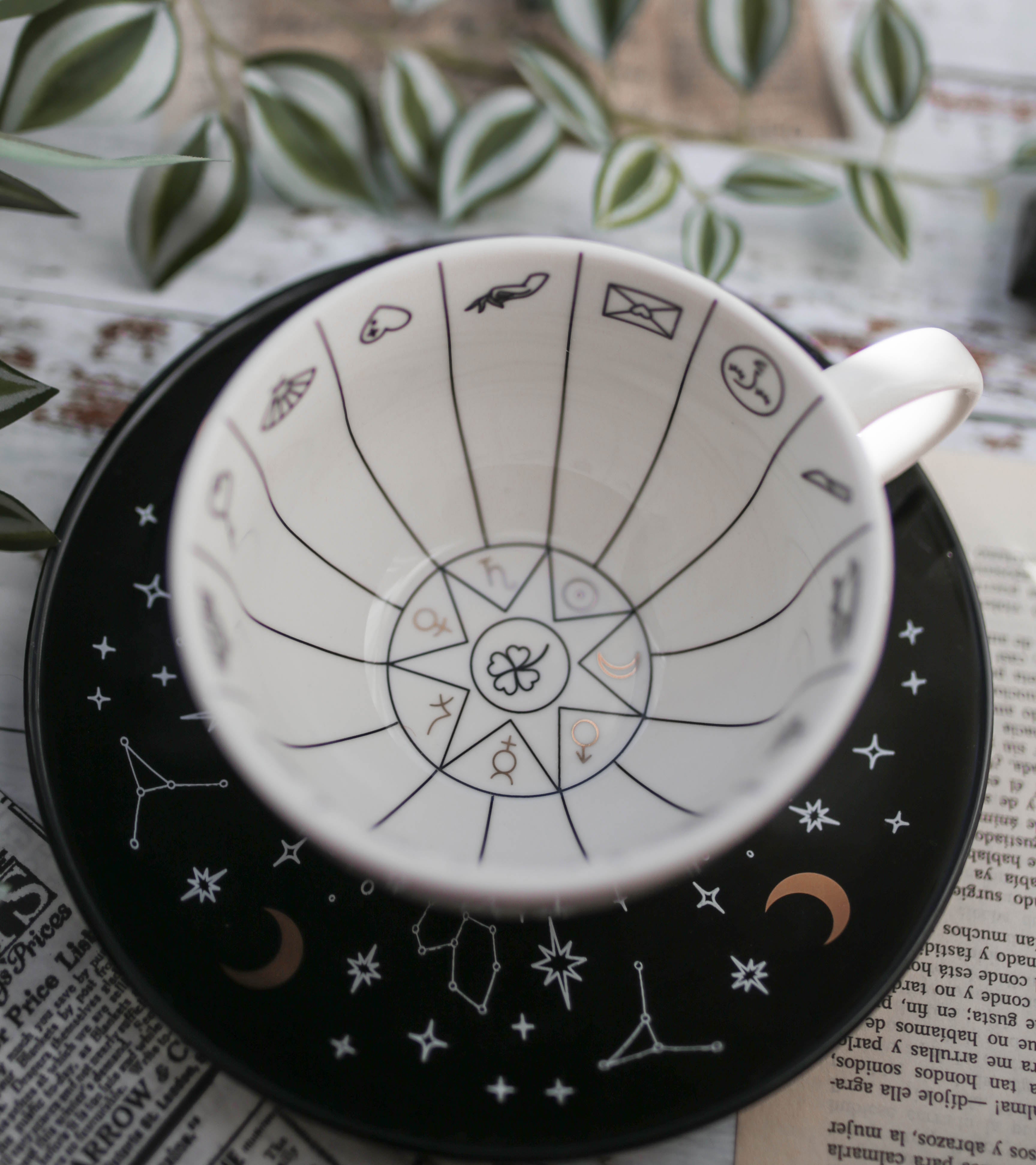 Tazas