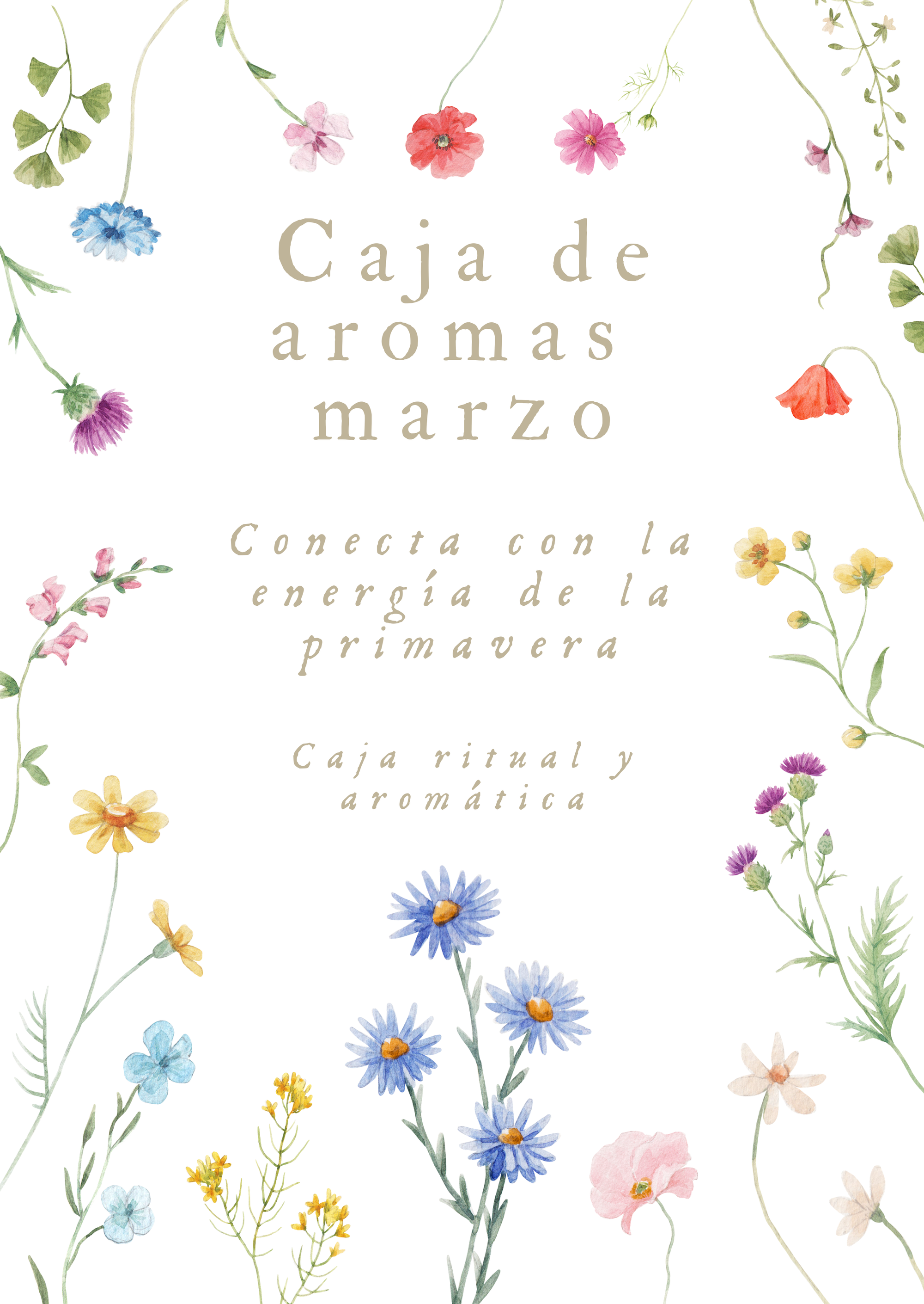 Caja sorpresa aromas - marzo: primavera
