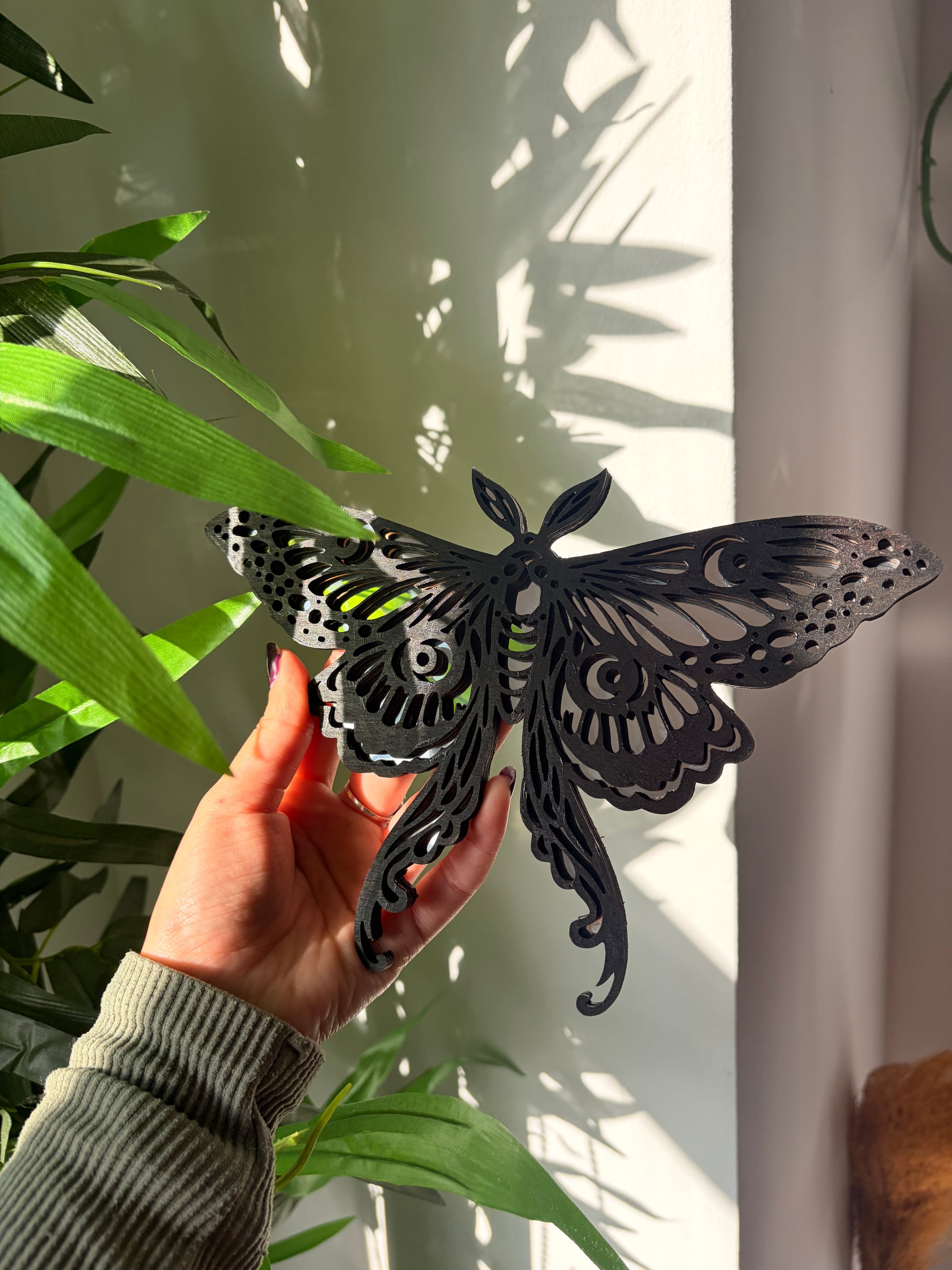 Polilla de la suerte