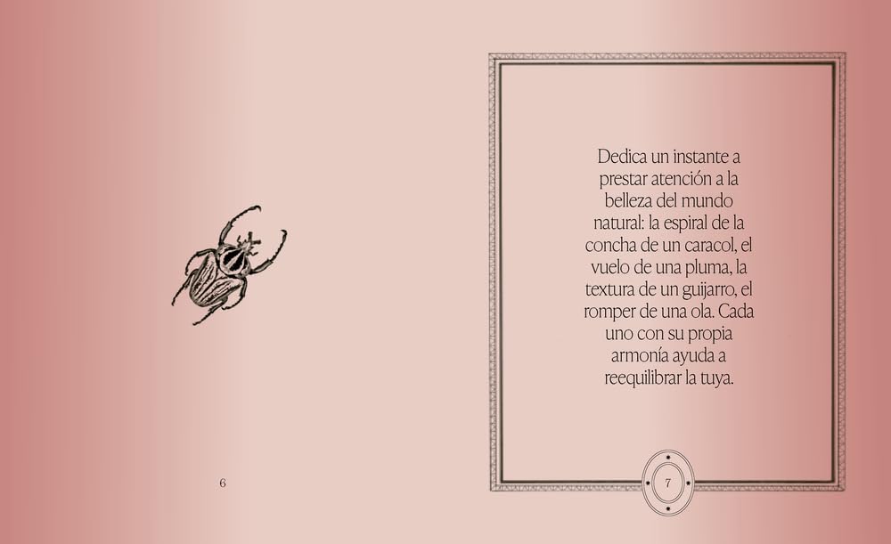 El libro de las respuestas.