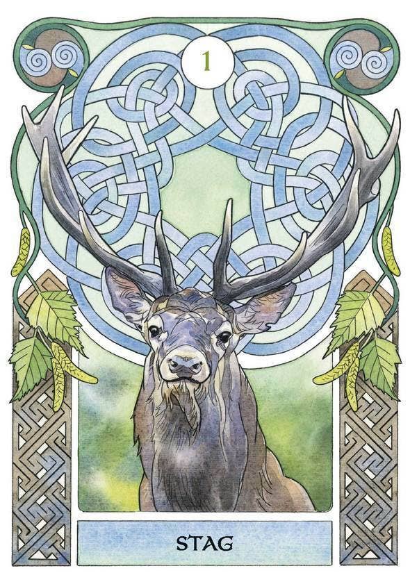 Cartas de oráculo de astrología celta