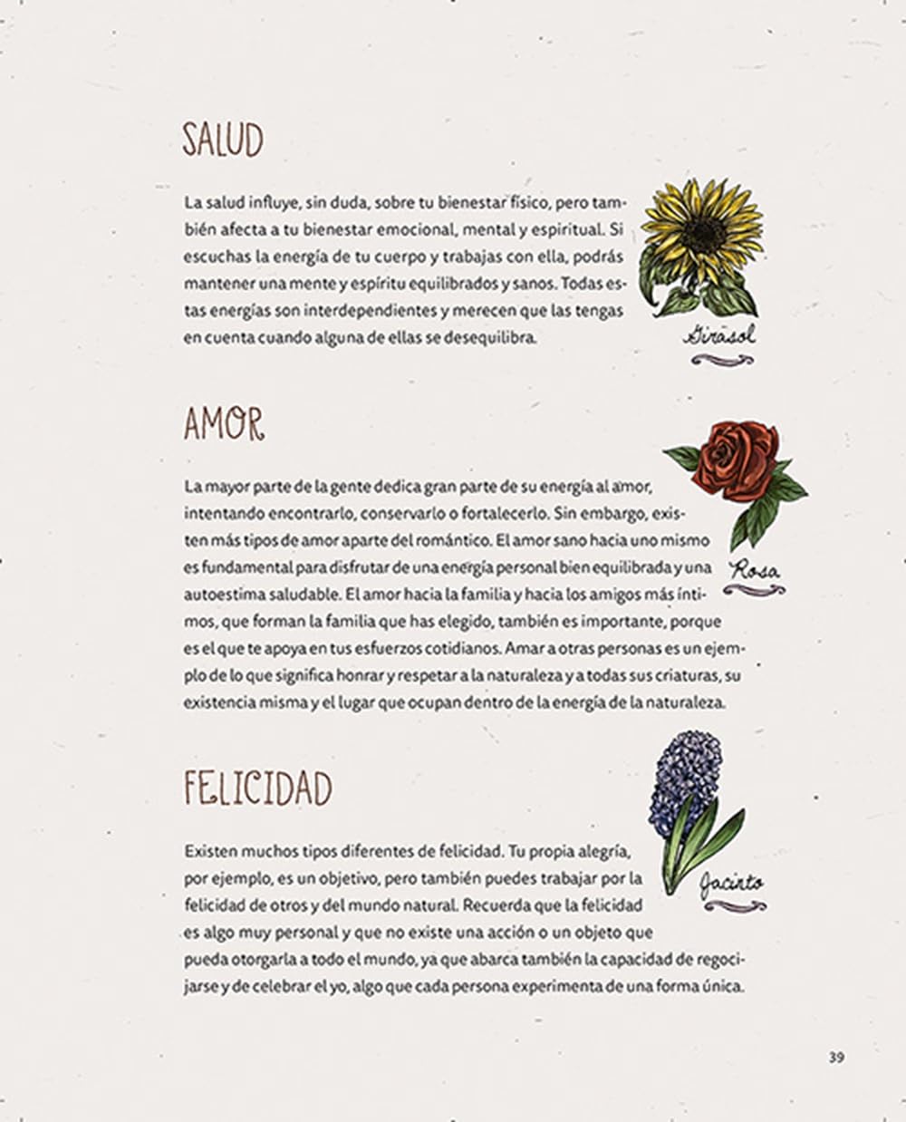 La bruja verde. Libro ilustrado