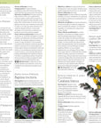 Enciclopedia de plantas medicinales