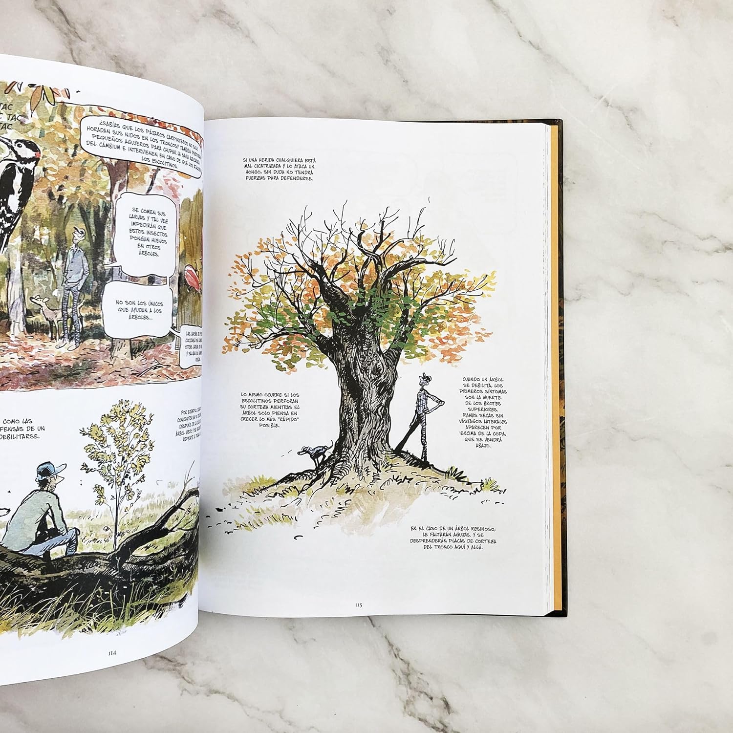 Vida Secreta de los árboles - novela gráfica