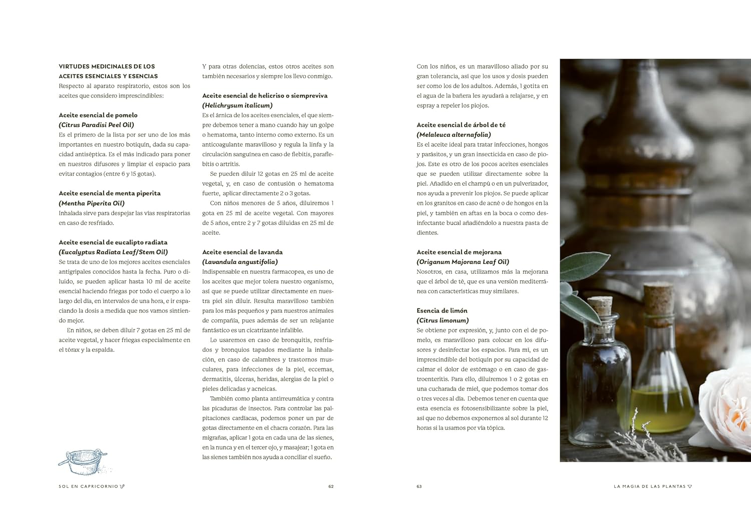 La magia de las plantas: Vol. 4. Elemento Agua.