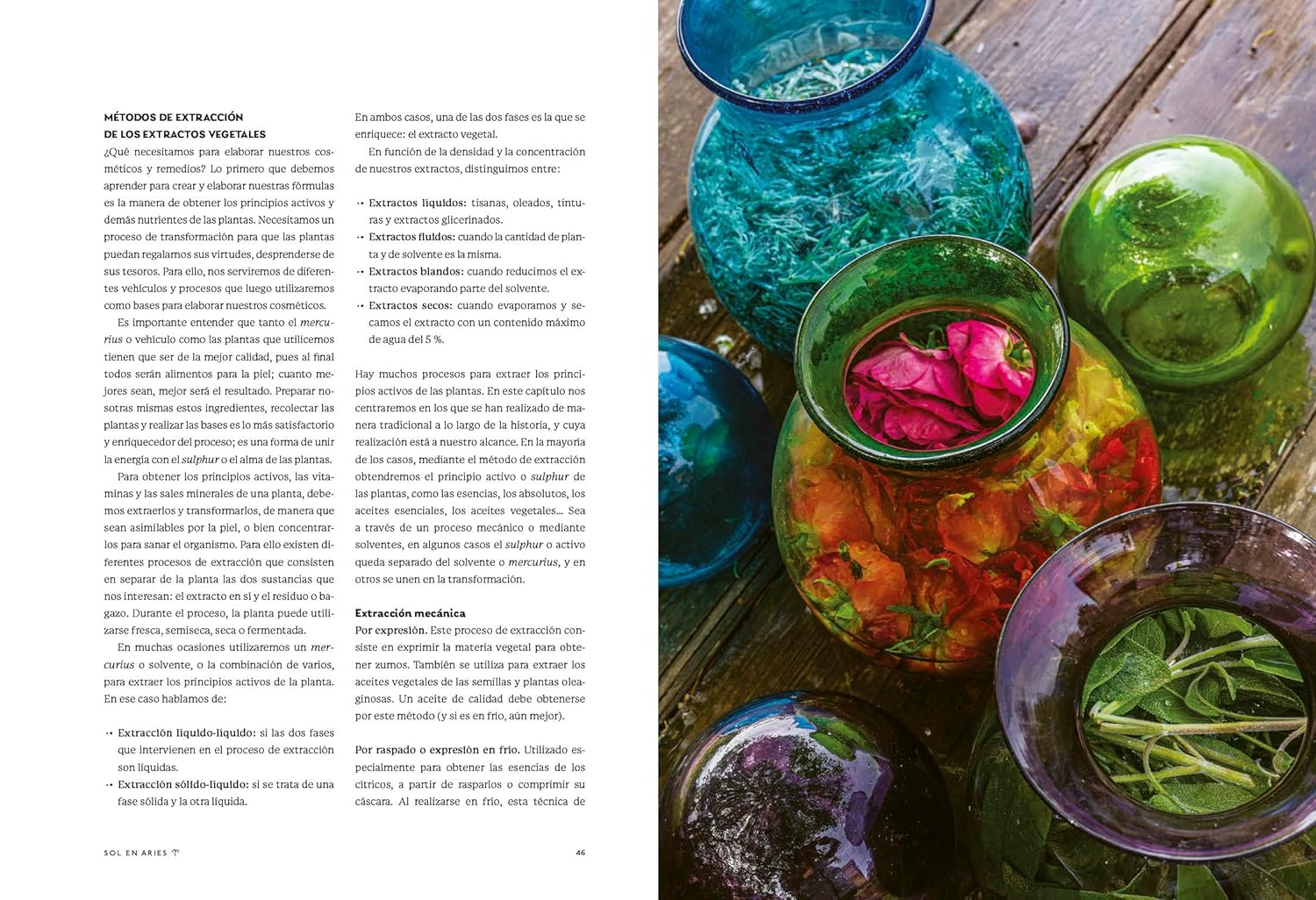 La magia de las plantas: Vol. 1.