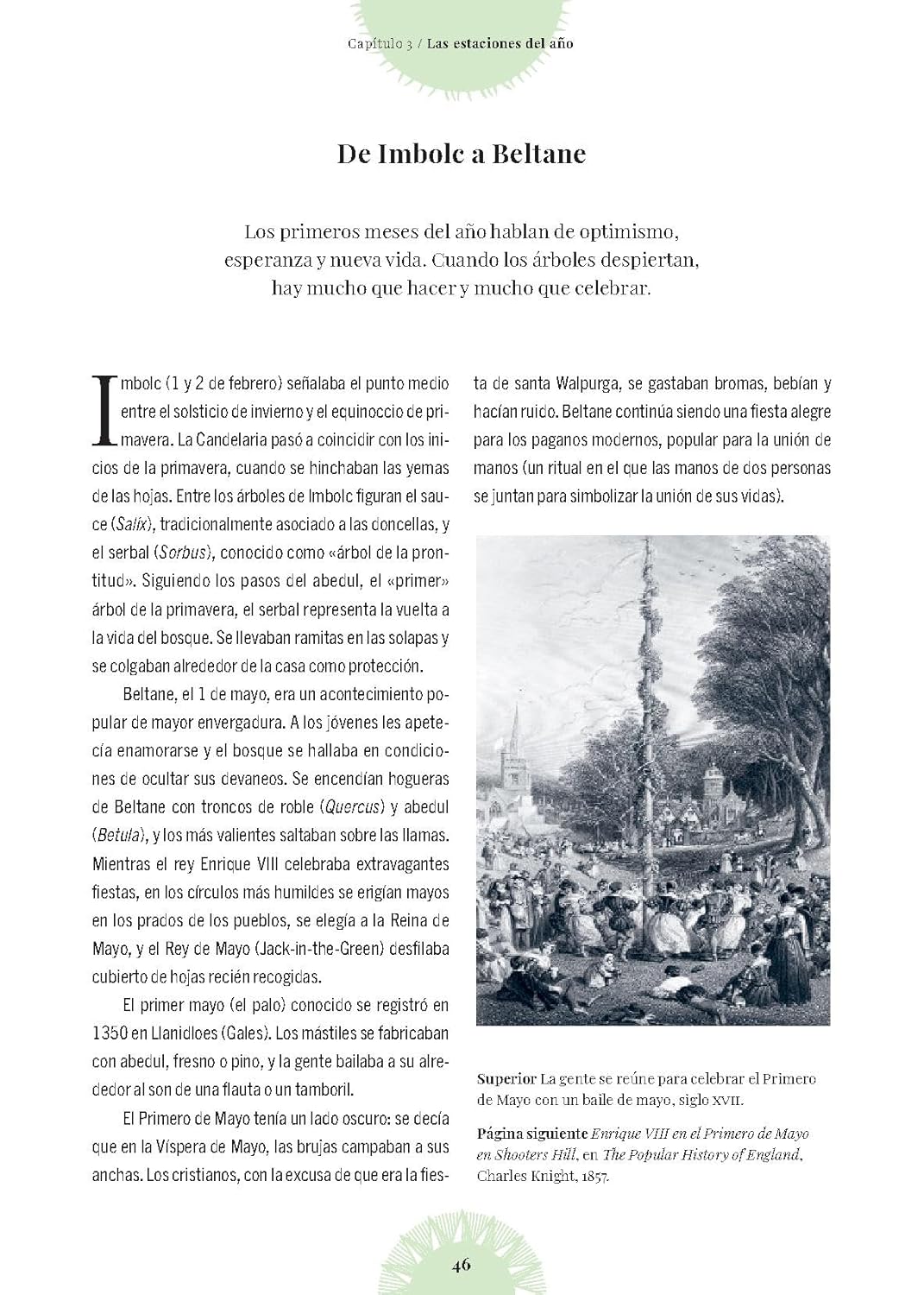 El bosque de las brujas