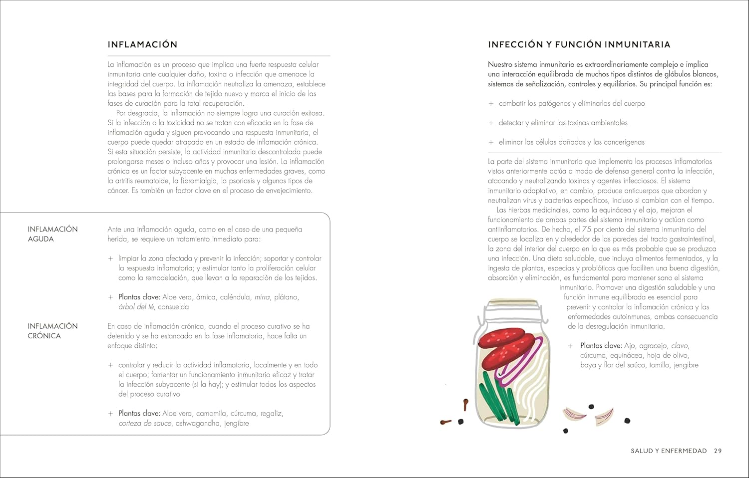 Plantas medicinales