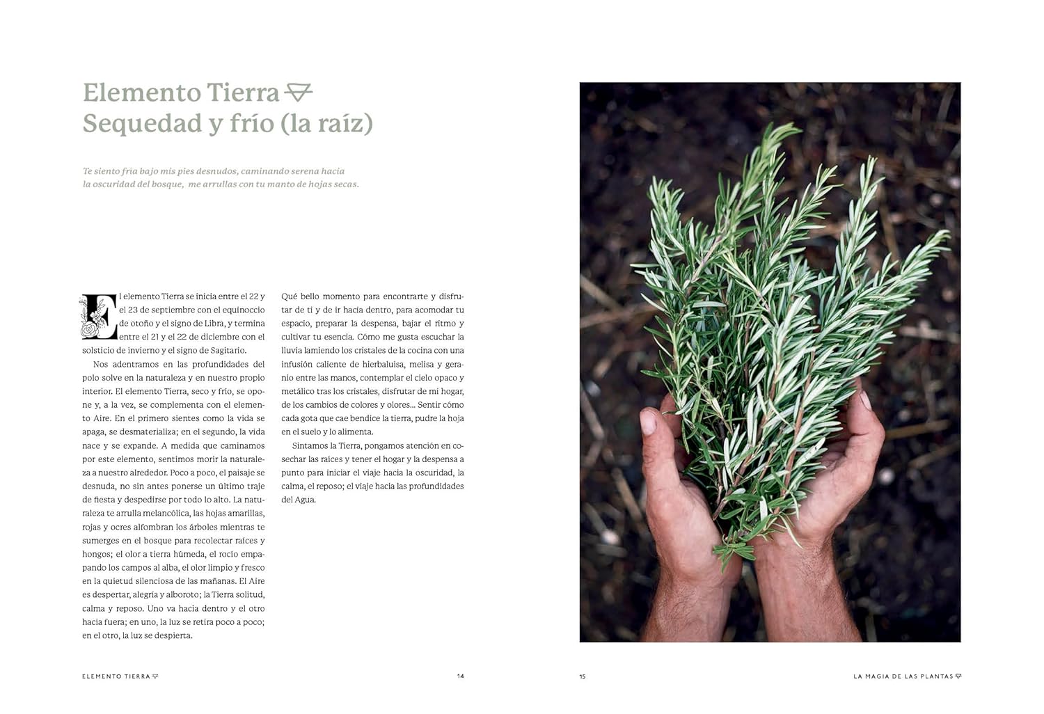La magia de las plantas: Vol. 3. Elemento Tierra.