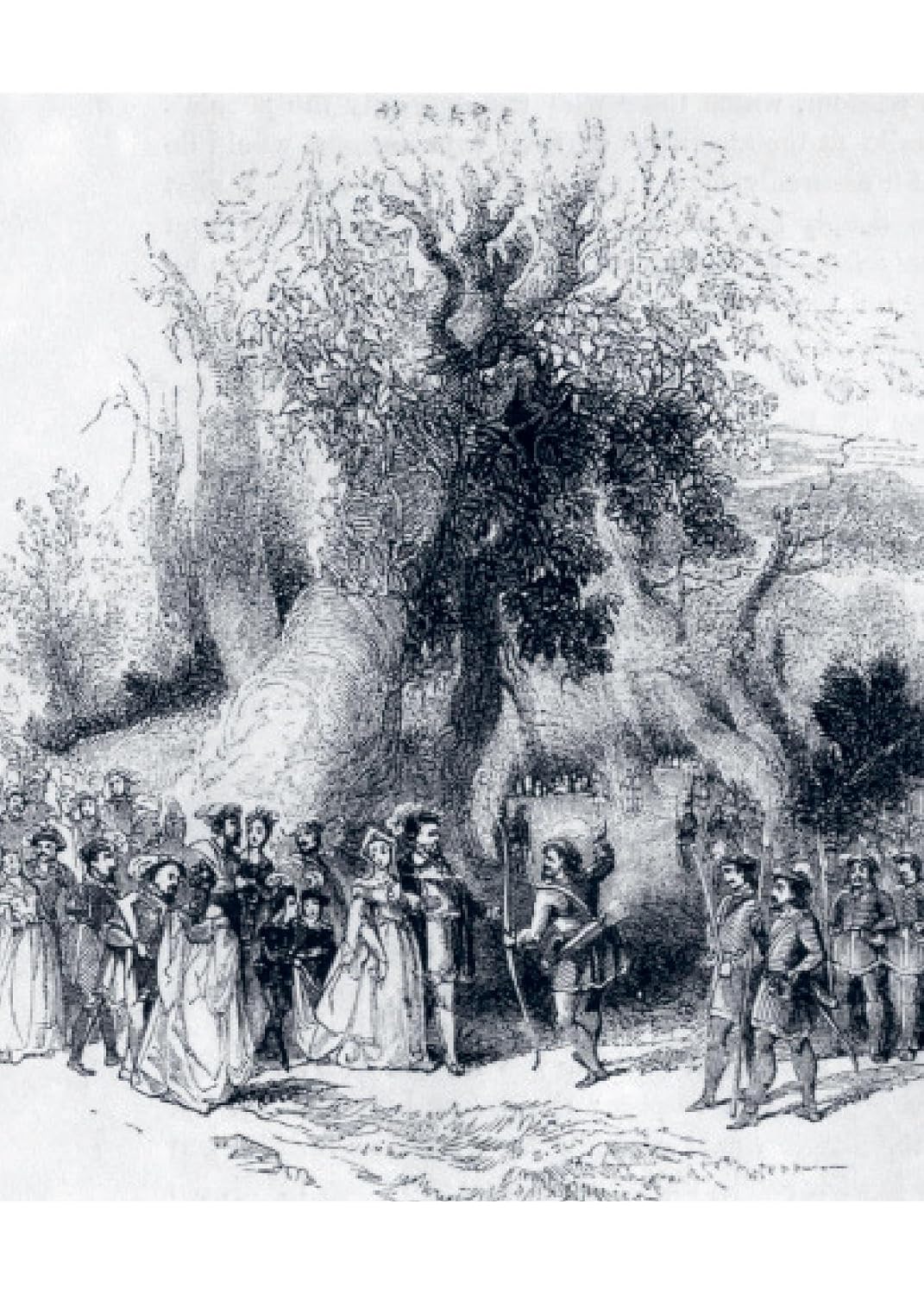 El bosque de las brujas