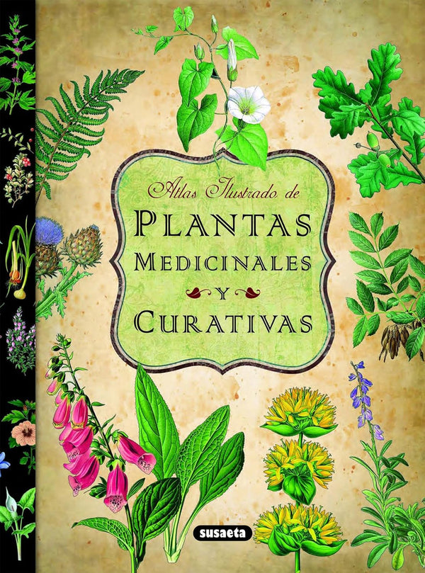 Plantas medicinales y curativas