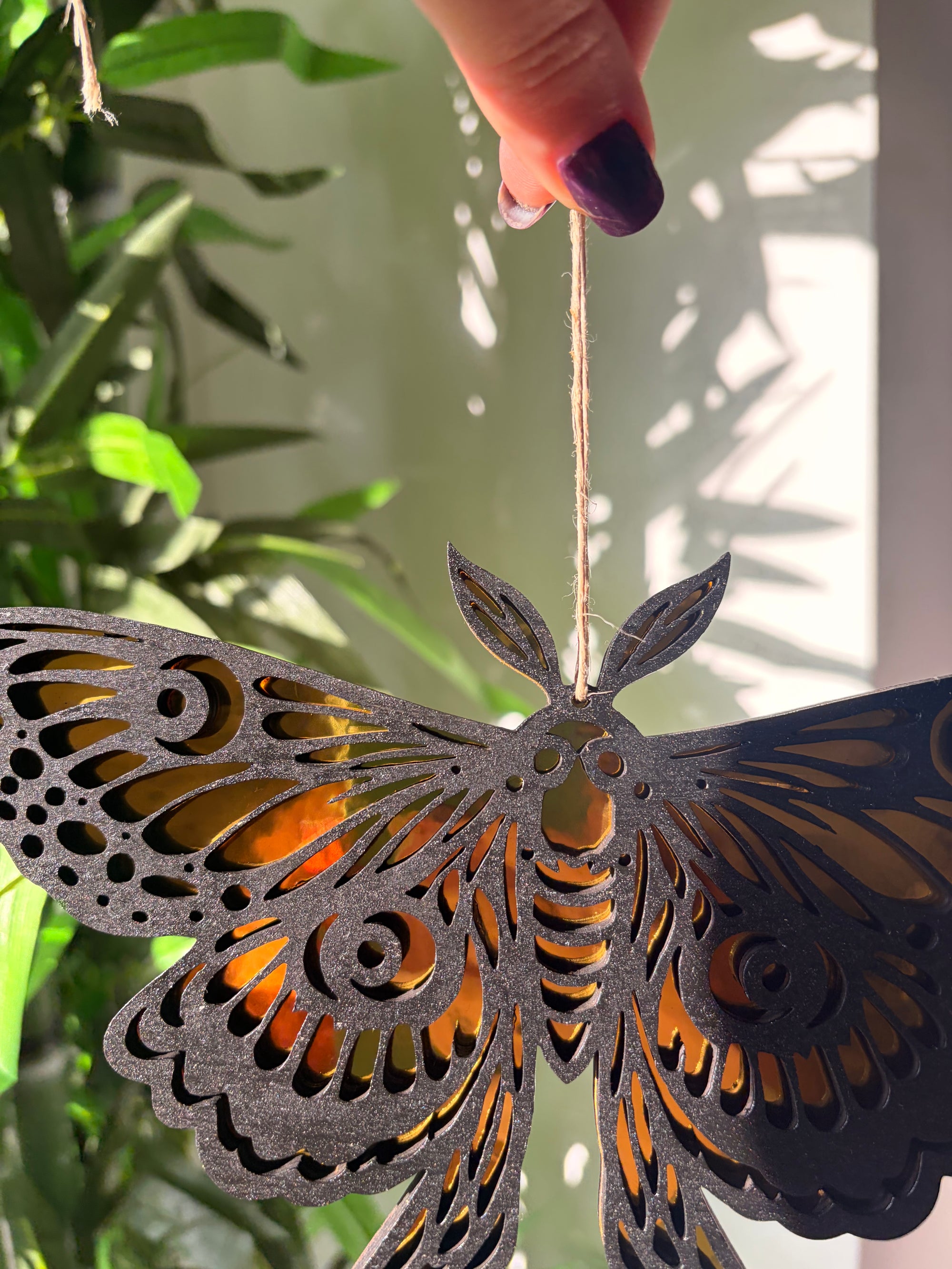 Polilla de la suerte