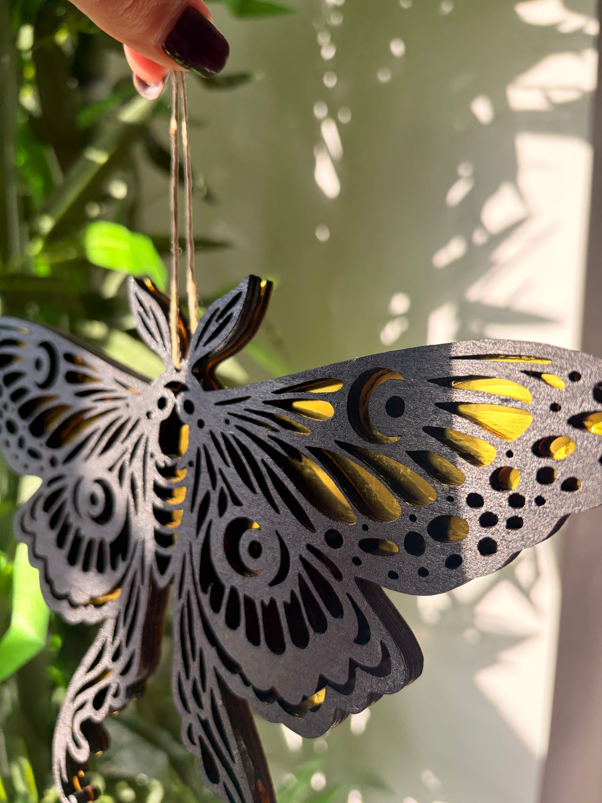 Polilla de la suerte