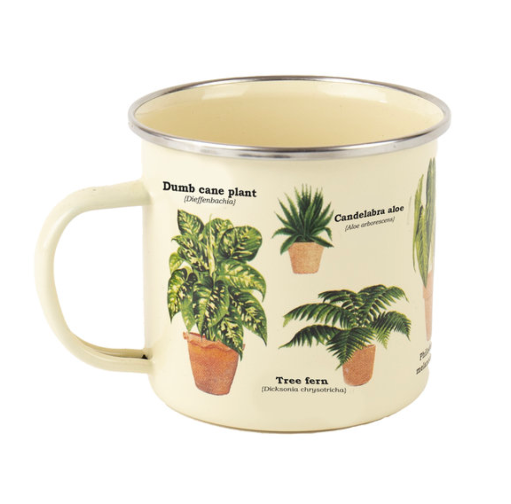Taza ecológica - plantas