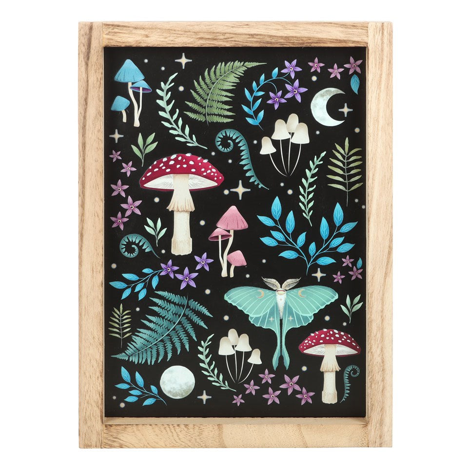 Cuadros de bosque mágico