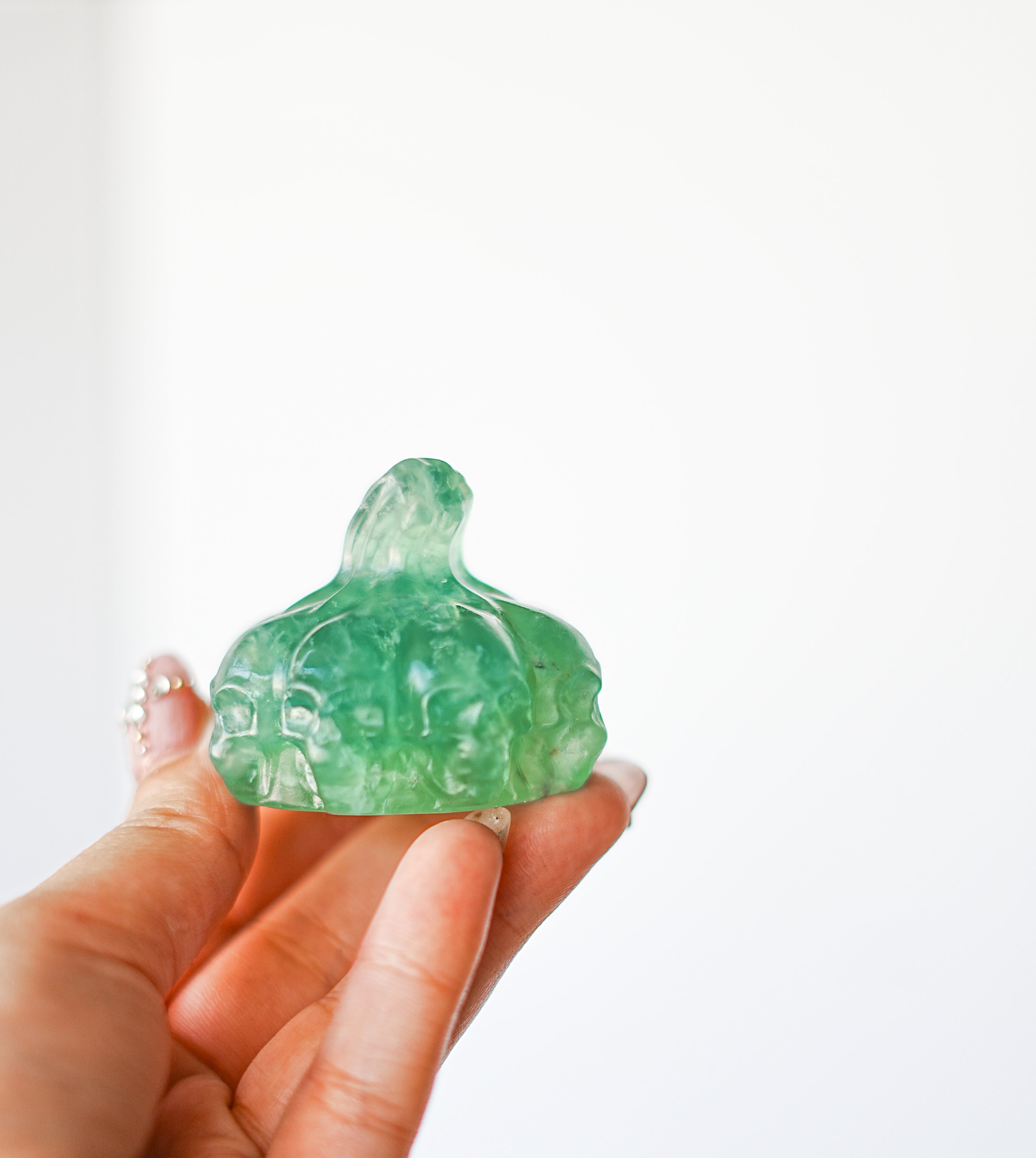 Calabaza con Calaveras – Mineral Aleatorio – Protección, Abundancia y Transformación