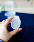 Bowl Pequeño de Selenita en Forma de Concha – Luz, Limpieza y Protección