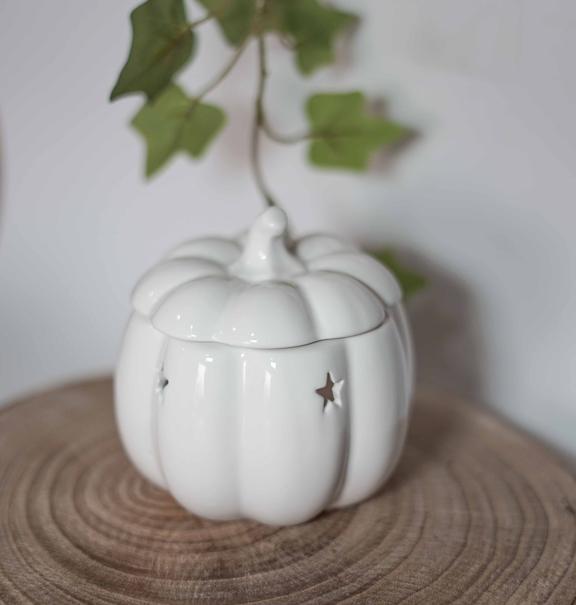 Quemador calabaza blanca