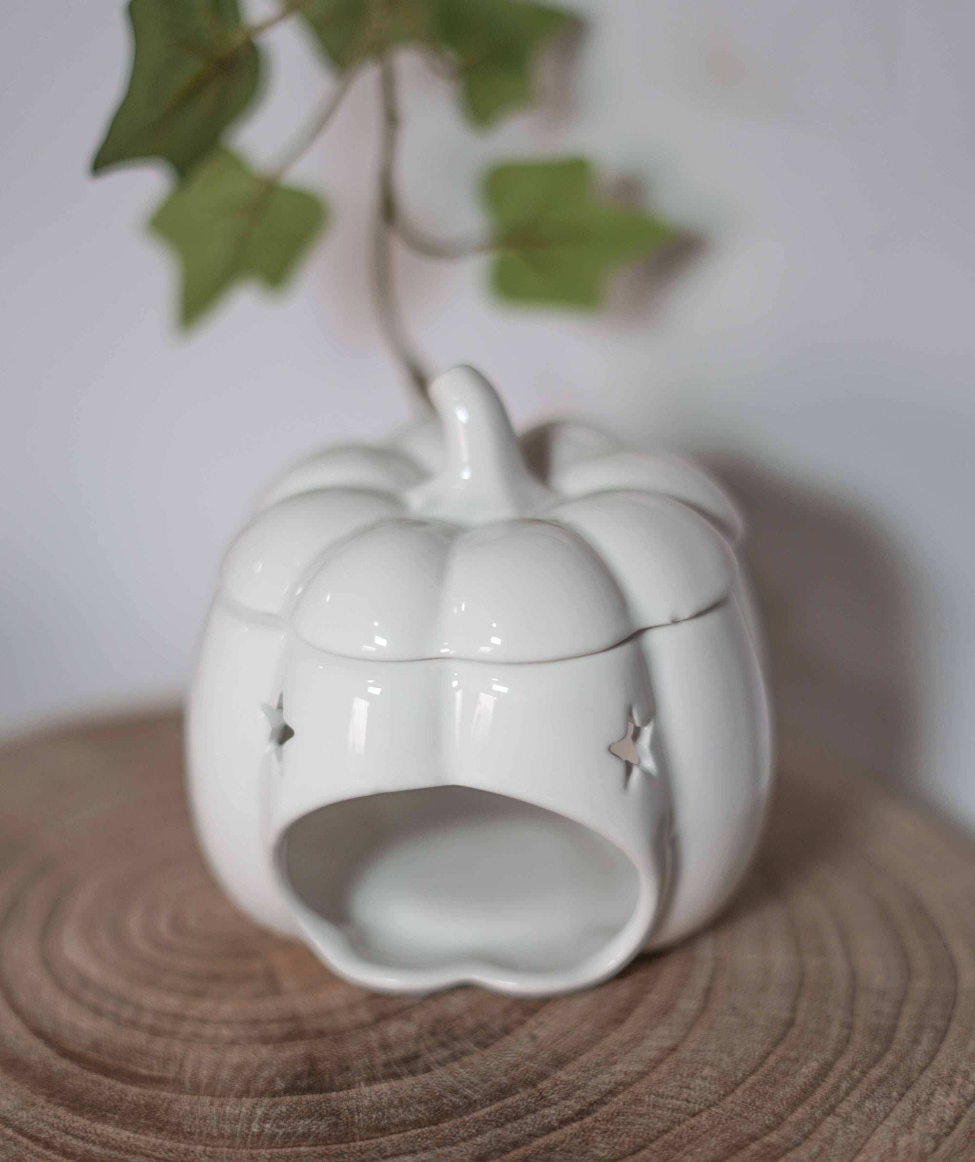 Quemador calabaza blanca