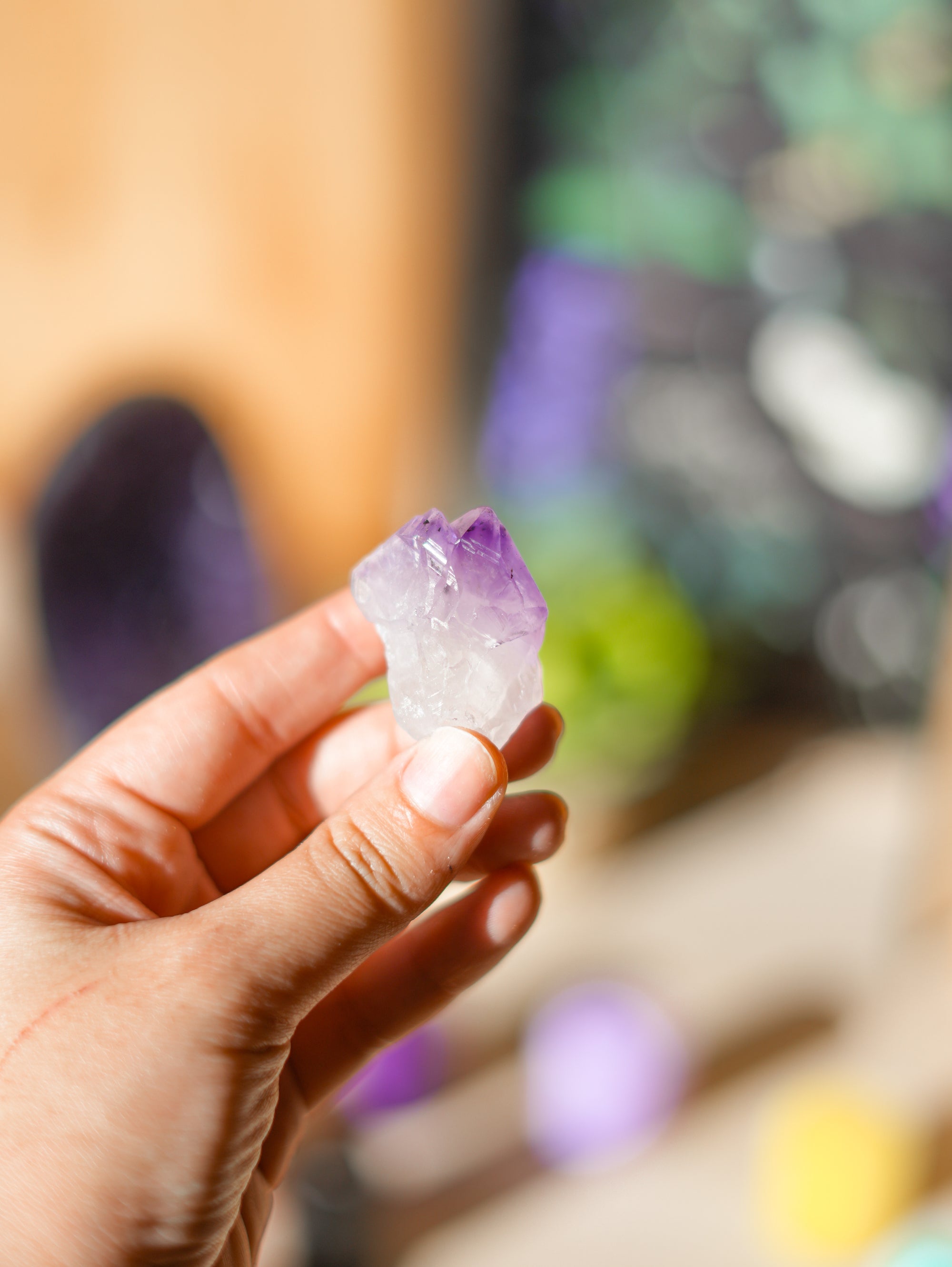 Pack Bruja Principiante