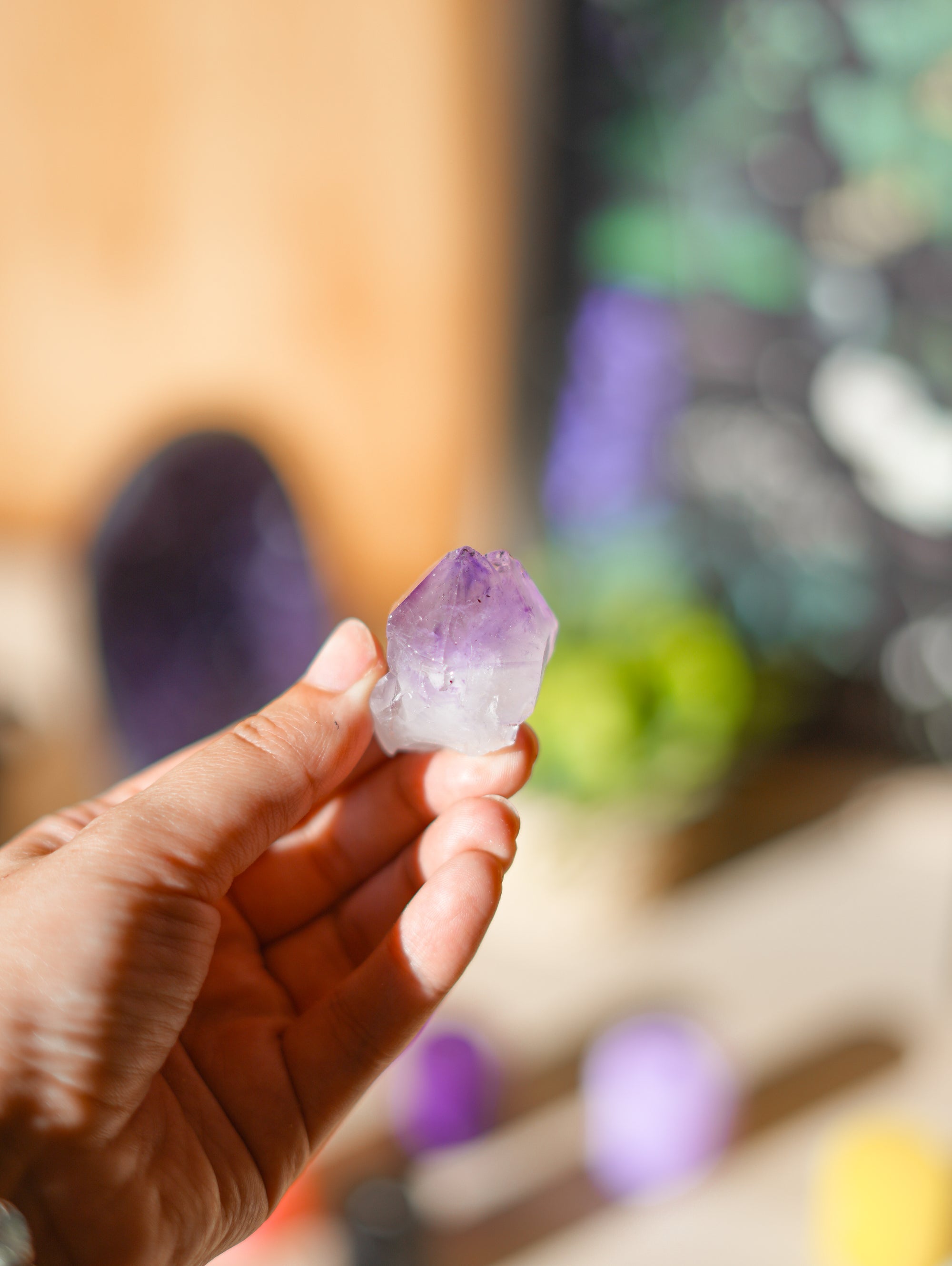 Pack Bruja Principiante